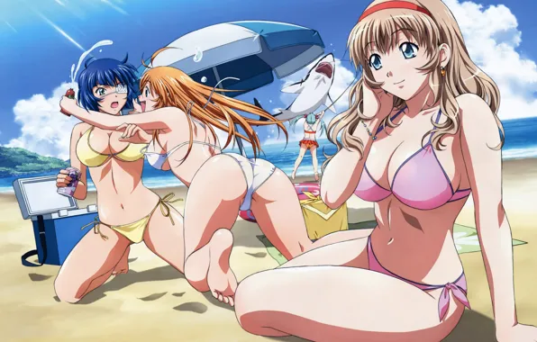 Пляж, девушки, акула, сиськи, beach, ikkitousen, girls