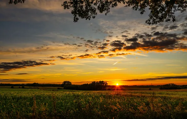 Summer, sky, landscape, sunset, wallpaeprs