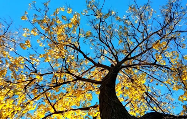 Картинка осень, небо, рендеринг, дерево, ветви, листва