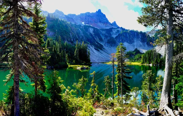 Деревья, горы, озеро, Mount Rainier National Park, Национальный парк Маунт-Рейнир, Каскадные горы, Washington State, Cascade …