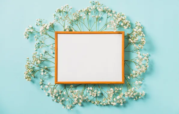 Картинка цветы, фон, рамка, white, белые, flowers, spring, frame