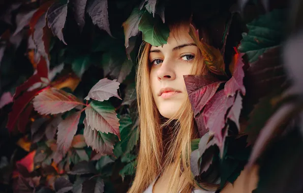 Осень, взгляд, листья, девушка, природа, поза, листва, портрет