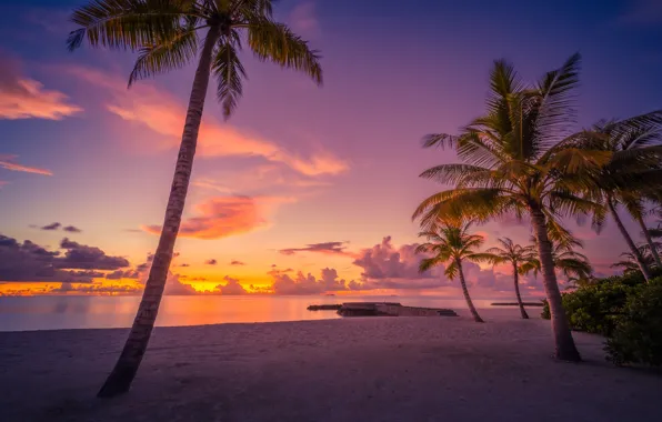 Картинка пляж, закат, пальмы, океан, Мальдивы, Maldives, Индийский океан, Indian Ocean