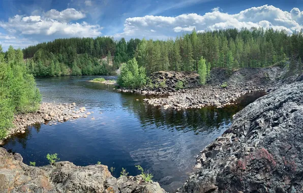 Камни, елки, Карелия, речка горная