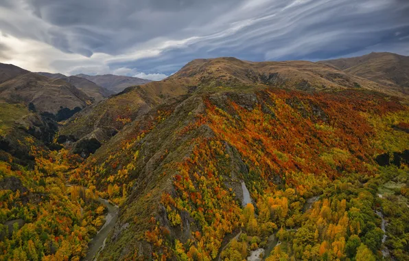 Осень, лес, облака, горы, склоны, вид, высота, вешины