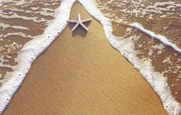 Картинка песок, вода, берег, звезда