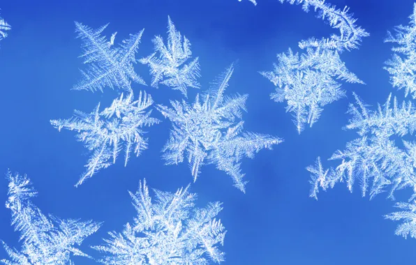 Картинка зима, иней, снежинки, узор, окно, мороз