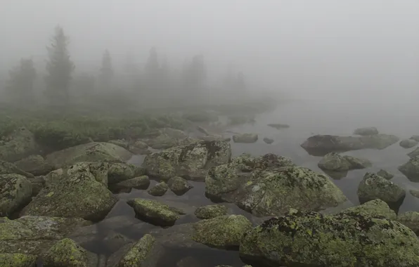 Туман, озеро, камни