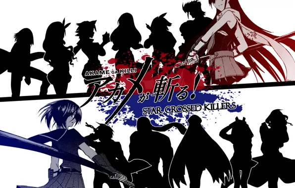Anime, Akame, Akame Ga Kill, ongoing2014.