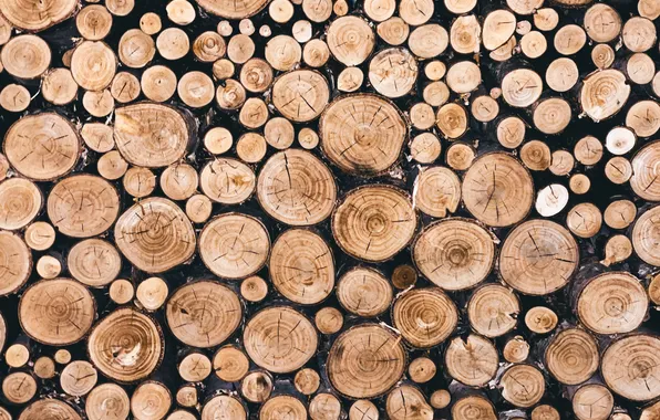 Wood, round, logs