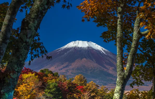 Картинка осень, небо, листья, снег, деревья, Япония, гора Фудзияма