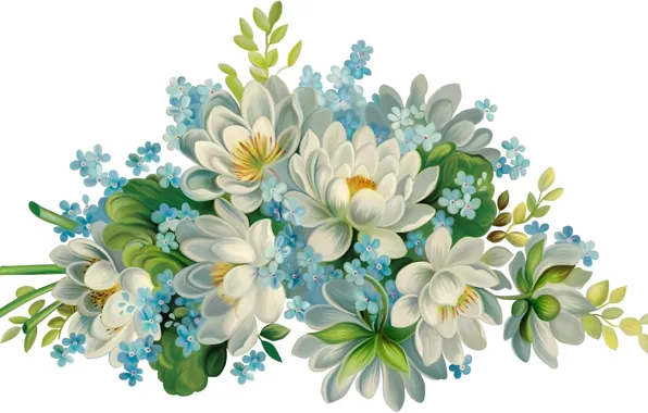 Цветы, белый фон, красивые, голубые цветочки