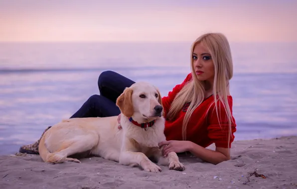 Картинка пляж, взгляд, поза, Девушка, собака, блондинка
