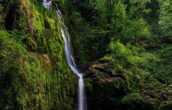 Картинка лес, горы, природа, река, водопад