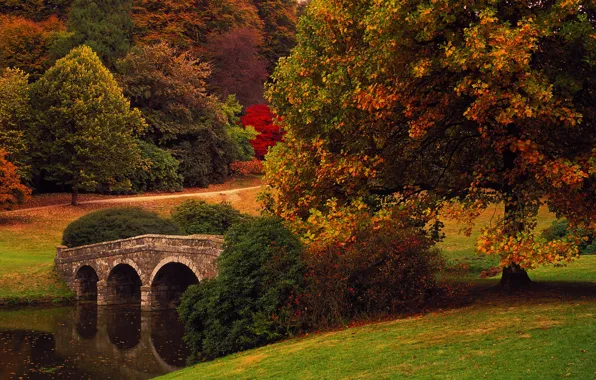 Картинка осень, деревья, мост, парк, Англия, Уилтшир