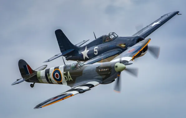 Полет, истребители, Spitfire, Wildcat