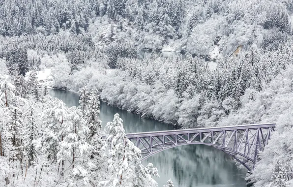 Картинка зима, снег, деревья, пейзаж, река, зимний, river, landscape