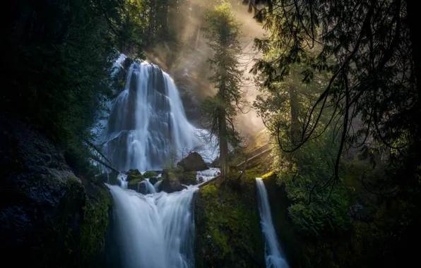 Картинка лес, водопады, каскад, Columbia River Gorge, Falls Creek Falls, Gifford Pinchot National Forest, Washington State, …