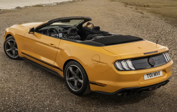 Кабриолет, форд мустанг, экстерьер, Convertible, Ford Mustang GT, California Special