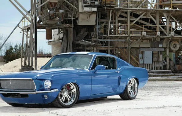 Dream, mustang, ford, shelby, muscle, tuning, cobra, power