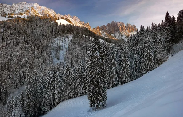 Картинка зима, лес, снег, горы