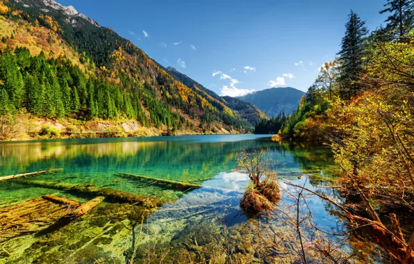 Осень, лес, деревья, горы, озеро, Китай, солнечно, Jiuzhai Valley National Park