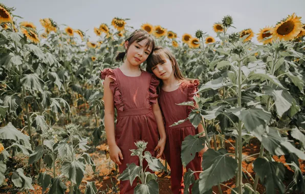 Поле, подсолнухи, девочки, field, girls, подружки, sunflowers, girlfriends