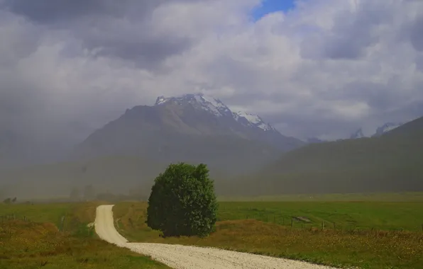 Картинка дорога, поле, горы, туман, дерево, Новая Зеландия