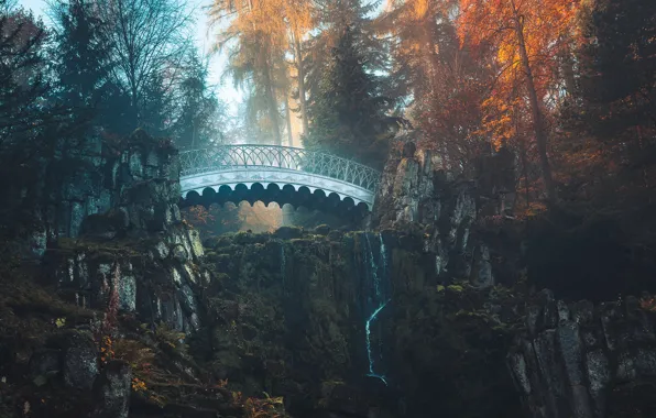 Осень, лес, свет, деревья, горы, мост, туман, парк