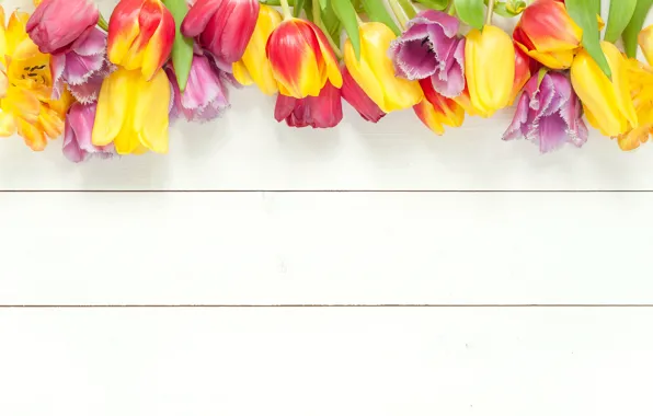 Картинка цветы, весна, colorful, тюльпаны, fresh, wood, flowers, beautiful