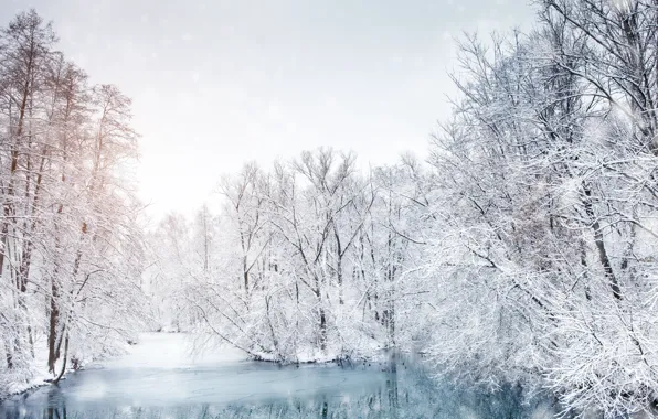Картинка лед, зима, снег, деревья, пейзаж, озеро, trees, landscape