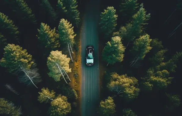 Картинка дорога, car, машина, осень, лес, пейзаж, ночь, colorful