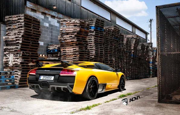 Lamborghini, жёлтая, Murcielago, adv1