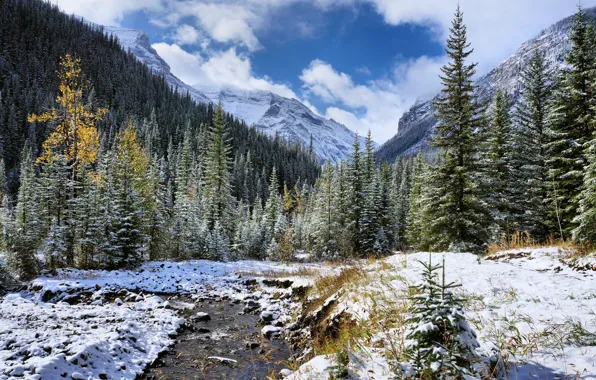 Картинка деревья, пейзаж, горы, речка