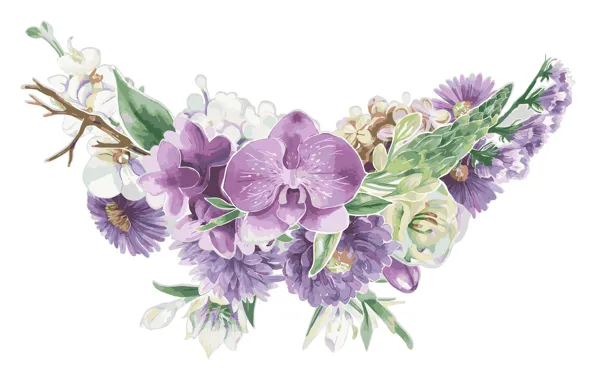 Картинка цветы, текстура, белый фон