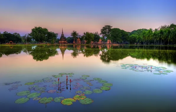 Озеро, парк, Таиланд, храм, лотосы