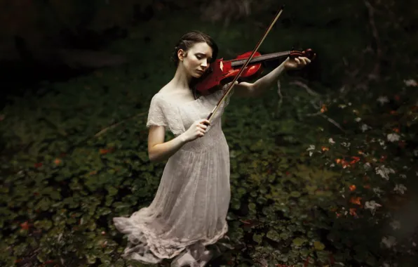 Девушка, музыка, скрипка