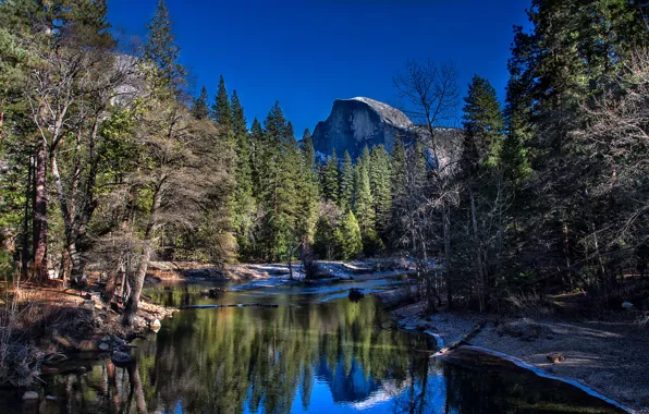 Лес, деревья, горы, река, Калифорния, США, Yosemite National Park