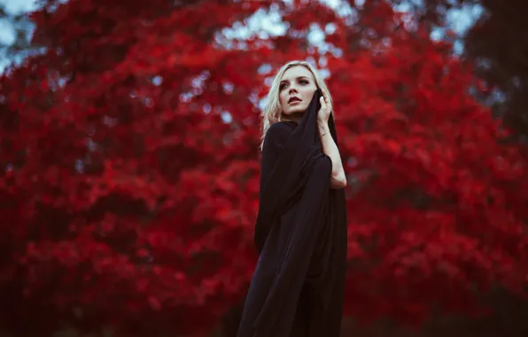 Girl, Autumn, RED, Blond, Sight