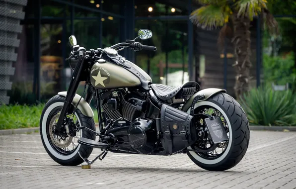 Картинка Harley-Davidson, Tuning, Softail, Rear, Customized, Thunderbike, Olive Joe, Custombikes