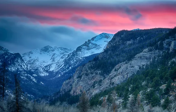 Лес, небо, облака, деревья, горы, природа, Colorado, Rocky Mountain National Park