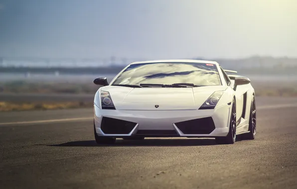 Картинка Lamborghini, белая, white, Gallardo, ламборджини, front, ламборгини, галлардо