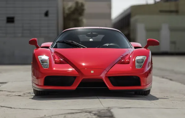 Ferrari, Enzo, Front view