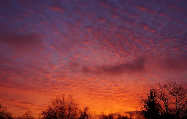 Red, sky, sunset, cloud