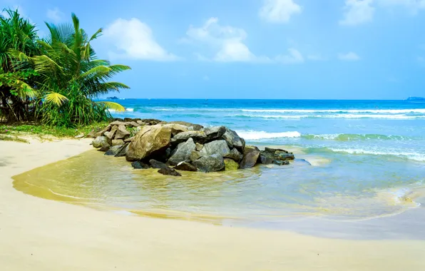 Песок, море, пляж, тропики, пальмы, берег, summer, sunshine