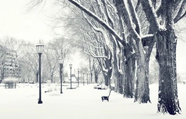 Картинка зима, снег, парк, лавочка, фонарь