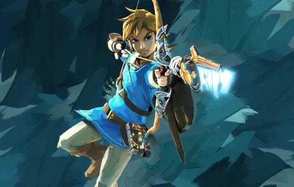 Картинка Nintendo, Game, Link, The Legend Of Zelda: Breath Of The Wild, TheVideoGamegallery.com
