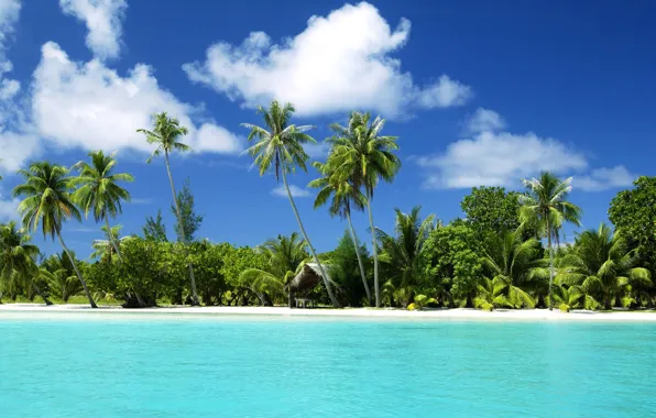 Картинка песок, вода, пальмы, океан, тропический остров, пляж.море