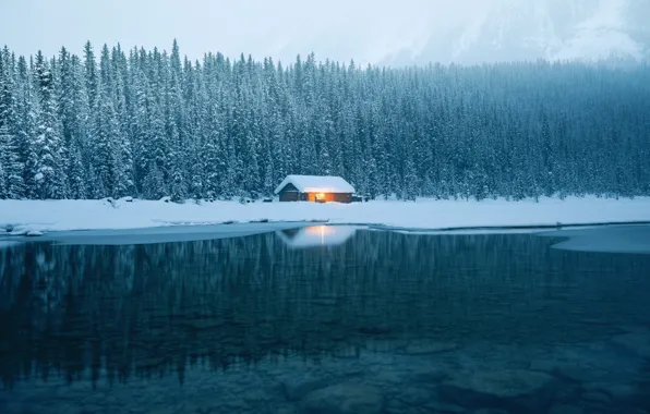 Картинка зима, лес, вода, природа, дом