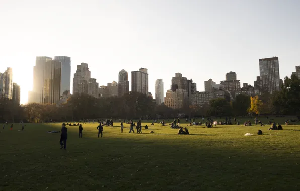 USA, United States, skyline, trees, nature, New York, Manhattan, NYC